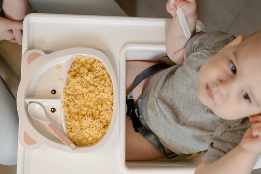 12Months Old Baby Recepies For Free